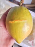 優(yōu)味集【JD速發(fā)】雞蛋果新鮮蛋黃果當(dāng)季水果特產(chǎn)整箱時(shí)令生鮮果 1500g凈重裝（40%選擇-性價(jià)比） 商超級(jí)精選大果 曬單實(shí)拍圖