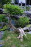 PENTAX 賓得變焦鏡頭單反相機(jī)鏡頭用于 K3II K1 k1II K3III k70 k50等 HDDFA24-70mmF2.8 鏡頭 曬單實(shí)拍圖