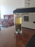 思寶玻璃杯金鉆年華雙層水晶杯商務(wù)茶杯便攜透明杯子泡茶水杯 3號(hào)-460ml【不能車載】 曬單實(shí)拍圖
