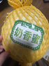 馬保果 南匯冰激凌玉菇甜瓜 新鮮冰淇淋小香瓜脆甜白瓜孕婦應季水果 優(yōu)選兩顆玉菇甜瓜 曬單實(shí)拍圖