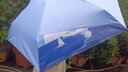 千色傘 COLORFUL UMBRELLA女學(xué)生超輕雨傘晴雨兩用折疊便攜防曬遮陽(yáng)傘大太陽(yáng)傘黑膠防紫外線(xiàn) 海灣款-5折 6骨 曬單實(shí)拍圖