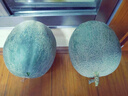 京果怡人海南玫瓏蜜瓜 靜岡網(wǎng)紋蜜瓜軟糯香甜冰淇淋網(wǎng)紋蜜瓜新鮮水果 2顆裝（單果2.5斤左右） 曬單實(shí)拍圖