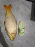 黃金眼小碎目高靈敏魚漂冬釣輕口鯽魚漂高靈敏黃金眼蘆葦浮漂 L-1009 1號(hào)(小碎目) 曬單實(shí)拍圖