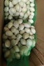 蔬果哆 【25秋新果】山東郯城銀杏果 白果 1000g 兩斤 老樹(shù)白果 曬單實(shí)拍圖