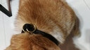 petcare 寵物項(xiàng)圈狗項(xiàng)圈寵物P鏈狗鏈高質(zhì)量銅扣頭德牧金毛邊境 M--1.2X50CM 曬單實(shí)拍圖