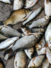 刀郎巴爾杉浮漂輕口鯽魚(yú)漂高靈敏黑坑鯉魚(yú)漂套裝全套加粗醒目尾魚(yú)漂 E1002 2號一支 曬單實(shí)拍圖