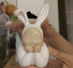 稀奇（XQ）《告白幻境》桌面藝術(shù)擺件送朋友生日禮物創(chuàng)意禮品禮盒裝 曬單實拍圖
