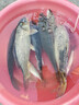 博菲特日本長(cháng)竿超硬19調16米打窩竿釣魚(yú)竿逗釣巨物長(cháng)節超長(cháng)炮竿遠距離 新款二代（15米+前兩節+竿包） 曬單實(shí)拍圖