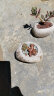 欧林泽 创意多肉植物石头花盆 简约欧式仿青石肉肉盆栽 陶瓷花盆 个性复古粗陶罐 G20 长10.5*宽9.3*高5.5厘米 实拍图