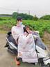 浪漫美西兒童親子款電動(dòng)車(chē)擋風(fēng)被冬季全包加絨加厚防水電瓶摩托保暖防風(fēng)罩 粉底幸運兔【親子全包裹大空間+全反光護肩+卡扣】 曬單實(shí)拍圖
