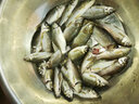 浮煙山金烏鯽魚(yú)竿手桿超輕細超硬28調臺釣竿高碳輕量版碳素野釣桿19品牌 6.3m 【硬挺19調】+垂釣禮包 曬單實(shí)拍圖