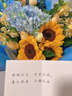 漫詩(shī)妮鮮花速遞向日葵香檳玫瑰混搭生日花束探望禮物同城配送上門(mén) 3朵向日葵玫瑰繡球混搭花束 指定時(shí)間送達（咨詢(xún)客服留言） 曬單實(shí)拍圖
