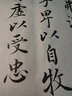 飛雪毛筆兼毫初學(xué)者書法專用知意成人毛筆字狼羊兼豪軟筆小中號(hào)中楷高級(jí)行書行草歐體顏楷柳趙楷書隸書湖筆 飛雪【兼毫1支裝】 曬單實(shí)拍圖