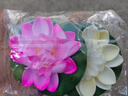 浴米仿真荷花荷葉水池裝飾造景假花睡蓮花魚缸漂浮供佛道具水中擺件 2只裝【粉色+白色】10CM荷花 曬單實(shí)拍圖
