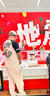 VANS范斯官方 情侶針織長(cháng)褲復古白松緊腰工裝風(fēng)運動(dòng)褲 復古白 XL 曬單實(shí)拍圖