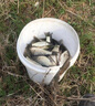 BKUMAN三棱壓鑄加強版鉛頭鉤路亞專(zhuān)用魚(yú)鉤防脫餌防掛底微物軟蟲(chóng)T尾 【50枚】三棱刀鉛頭鉤【7g】 曬單實(shí)拍圖