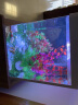 SEA STAR生态海 星小鱼缸客厅小型水族箱创意迷你玻璃家用懒人造景LED灯 500F经济套装（带20件套） 实拍图