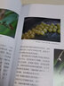 蟲出江湖 別樣的昆蟲世界（異步圖書出品） 曬單實拍圖