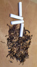 木香（MUXIANG） 木香進口德國華云活性炭濾芯煙斗過濾芯9mm煙嘴通用清潔煙斗配件 進口華云盒裝40粒 曬單實拍圖