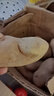 柏饞新鮮黃皮土豆現(xiàn)挖現(xiàn)發(fā)農(nóng)家自種黃皮黃心土豆馬鈴薯新鮮洋芋 黃皮土豆9-10斤帶箱 大果 曬單實(shí)拍圖