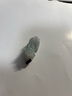 TIMESWIND天然A貨翡翠豆綠如意貔貅吊墜玉石皮丘掛件 翡翠 如意貔貅(附掛繩) 曬單實(shí)拍圖
