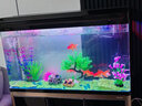 西龍中大魚(yú)缸客廳家用落地懶人生態(tài)免換水帶柜子一體自循環(huán)金魚(yú)水族箱 100CM魚(yú)缸+木地柜 曬單實(shí)拍圖