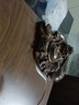 琨德家用實(shí)木茶盤(pán)不帶電磁爐一體燒水壺茶具輕奢單框架功夫泡茶臺 立體佛小號茶盤(pán)(無(wú)電器) 曬單實(shí)拍圖