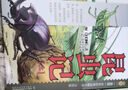 法布爾昆蟲(chóng)記 世界經(jīng)典動(dòng)物名著(zhù)·美繪版·全2冊套 [7-10歲] 寒暑假閱讀推薦書(shū)目 曬單實(shí)拍圖
