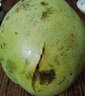 壹農(nóng)壹果 海南金煌芒果 芒果水果 金煌芒 新鮮水果 當(dāng)季生鮮芒果整箱大果 凈重3斤裝（單果150-250g） 曬單實(shí)拍圖