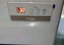 海爾（Haier）冰柜300/369/429/519/629/720升大容量商用冰柜全冷凍冰柜超低溫減霜抗菌冷柜深冷速凍柜海鮮速凍 429升|-40度風(fēng)循環(huán)|電子溫控|六面冷 429L 曬單實(shí)拍圖