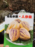 【人參果種子】四季播種農家盆栽庭院菜園云南石林人參果蔬菜種子 【原廠(chǎng)彩包】【7g】50粒 曬單實(shí)拍圖