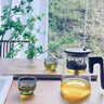 塔馳密司（touchmiss）玻璃泡茶壺家用辦公室泡茶神器耐高溫茶水分離杯飄逸杯茶具 尋露木把壺800ml 曬單實(shí)拍圖