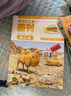 《科幻世界》（小牛頓畫刊）2020年合訂本（1-12期） 曬單實拍圖