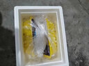 杰布九寨溝藏香豬湯骨500g*2盒 地標(biāo)產(chǎn)品源頭直發(fā)順豐空運(yùn) 曬單實(shí)拍圖