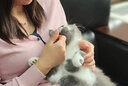 熙世界粉色氣質(zhì)針織衫毛衣女長(zhǎng)袖設(shè)計(jì)感套頭V領(lǐng)上衣2025秋季新款 珊瑚粉 M 曬單實(shí)拍圖