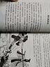 快樂讀書吧四年級上冊(全4冊)中國古代神話+世界經(jīng)典神話與傳說故事+希臘神話故事+山海經(jīng) 課程化閱讀全書導(dǎo)讀版 小學(xué)生讀物四年級課外閱讀書籍書目 四年級上冊-3本-名師領(lǐng)讀版 曬單實(shí)拍圖