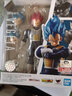 萬(wàn)代（BANDAI） SHF 龍珠2 手辦模型玩具 15cm SHF 藍發(fā)貝吉塔15th 曬單實(shí)拍圖