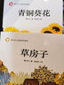 曹文軒作品 草房子+青銅葵花  共2冊 曹文軒小說閱讀與鑒賞 安武林導(dǎo)讀名家名作 中小學(xué)生推薦閱讀 曬單實(shí)拍圖