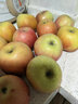 良知農哥麗江寧蒗瀘沽湖冰糖心丑蘋(píng)果 脆甜可口應季紅富士 5斤彩箱12個(gè)70-90mm 曬單實(shí)拍圖