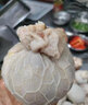 蒙綠源內(nèi)蒙古網(wǎng)紅羊肚包肉肚包羊肉網(wǎng)紅同款肚包肉羊肚新鮮生羊肉2斤 肚包肉2斤 曬單實拍圖