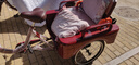 永久三輪車?yán)先四_踏腳蹬腳踩自行單車?yán)夏耆肆嚧叫⌒洼p便成人 80斗酒紅/減震雙鏈條-六級變速 曬單實拍圖