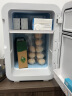 SAST 车载冰箱 20L迷你冰箱宿舍租房用母乳冷藏小冰箱恒温冷暖箱 实拍图