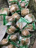 伊梵麥40個羅漢果中級廣西桂林永福特產大果泡茶花茶干果仁茶 大果20個(53-56mm) 曬單實拍圖