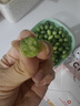 格沃斯（GEWOSI）現摘新鮮拇指西瓜可吃 迷你小西瓜水果綠瓤稀奇瓜果稀有高端水果 250克拇指西瓜 曬單實拍圖