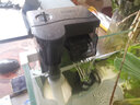 百因美（BIOZYM）魚缸過濾器循環(huán)水泵小型壁掛水族箱外置過濾水草缸外掛設(shè)備除油膜 1.5W【適合10-20CM魚缸】 曬單實(shí)拍圖