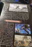 科幻世界畫刊-驚奇科學(xué) 曬單實拍圖