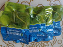 千海藍(lán)有機(jī)壓縮海帶苗嫩干貨福建霞浦小海帶新鮮烘干嫩苗涼拌 5片嘗鮮裝（1片泡好約200g） 曬單實(shí)拍圖