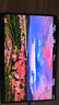 三星平板電腦2023款Galaxy Tab S9 Ultra 14.6英寸驍龍8Gen2游戲辦公網(wǎng)課 云影灰 WIFI版【12G+256G】 標(biāo)配+45W快充套裝+備用筆尖 曬單實拍圖
