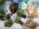 多肉植物含盆帶土套裝超萌多肉新手好養懶人植物辦公室內盆栽綠植 彩虹懶人套餐一 含盆 曬單實(shí)拍圖