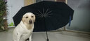 法爾考 反向雨傘折疊1.4米直徑超大號三折傘全自動(dòng)男士抗風(fēng)防曬遮陽(yáng)傘傘 1.4米直徑超大12骨防雨版深藍色 曬單實(shí)拍圖